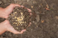 CROP NUTRITION