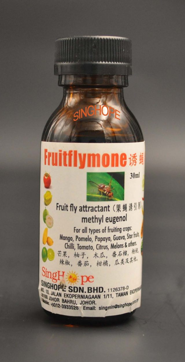 FRUITFLYMONE 3.0