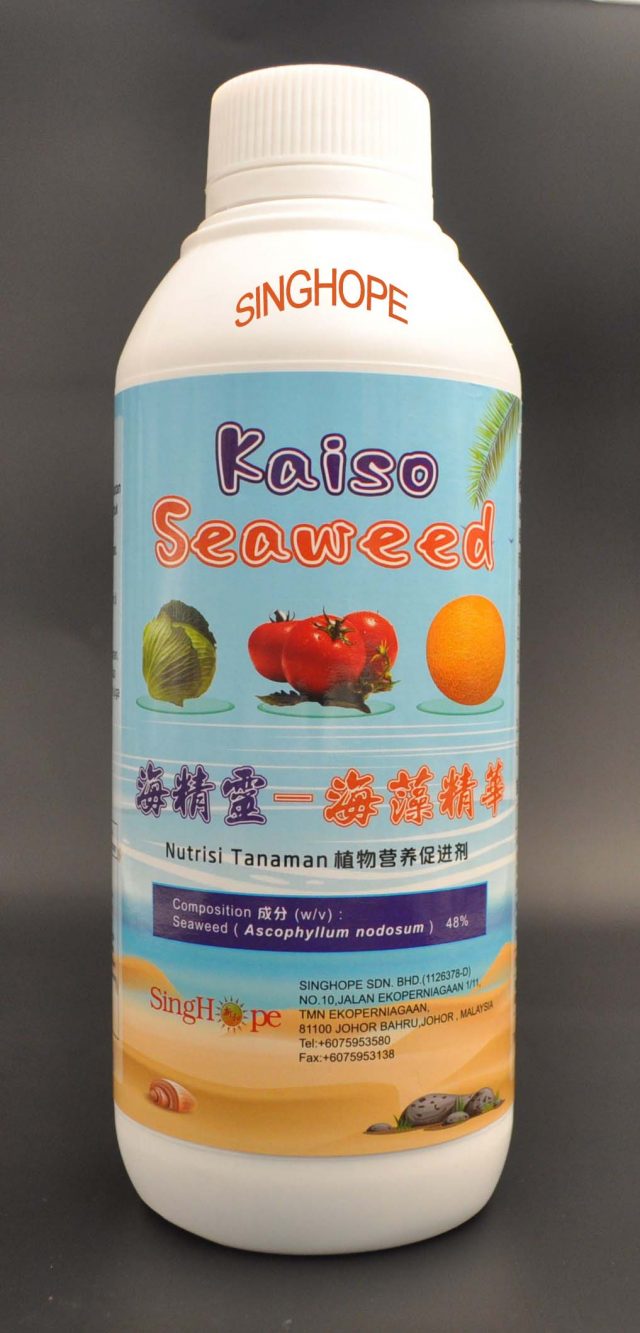 KAISO SEAWEED