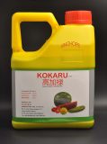 KOKARU