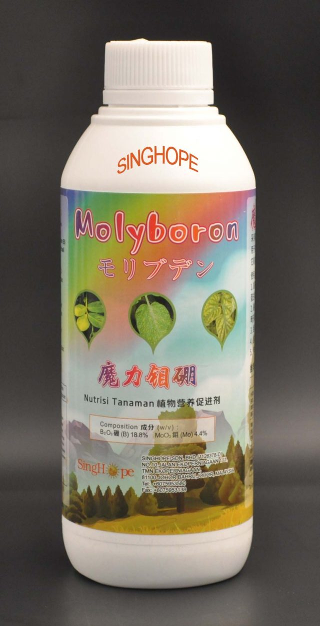 MOLYBORON