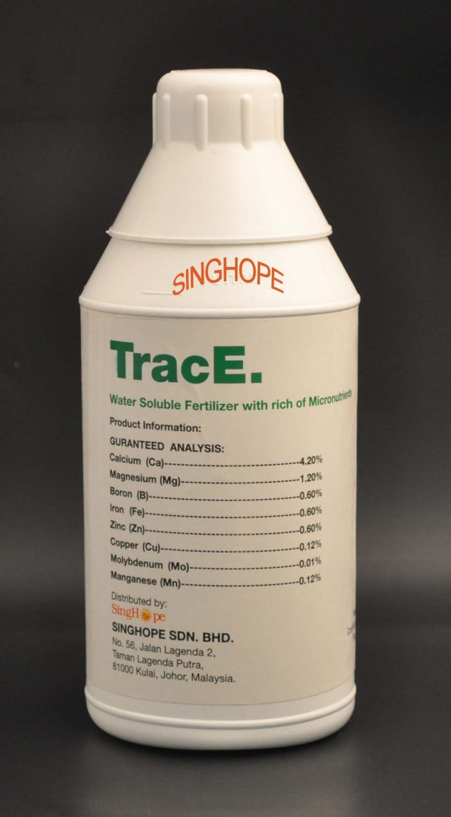 TracE.