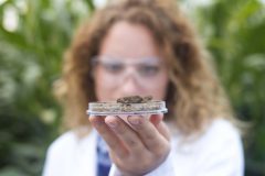 BIOLOGICAL CONTROL